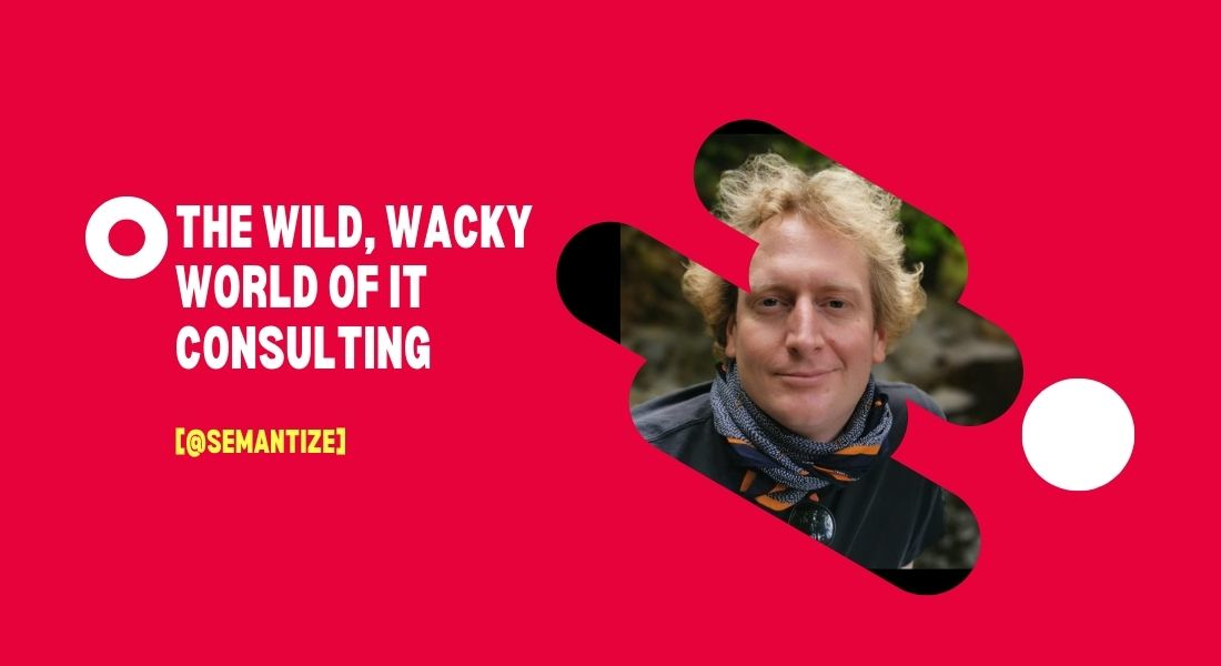 The Wild, Wacky World of IT Consulting